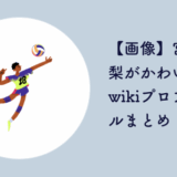 宮部藍梨 wiki
