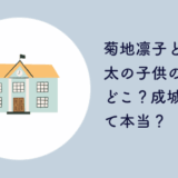 菊地凛子と染谷将太の子供の学校
